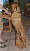 Sissy and Lucie