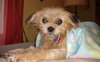 Audry