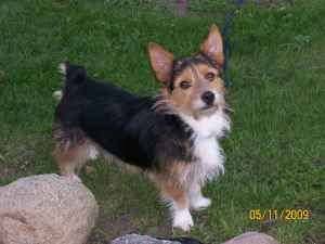 Maxx