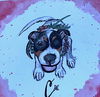 Charleigh Puppy MG