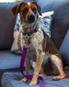 Jimbo AH 9/19