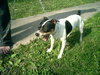Buster