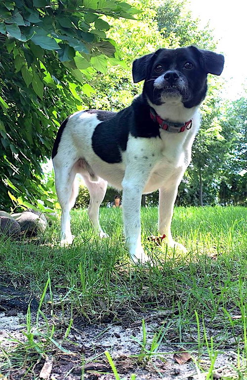 Astro