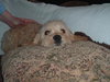 Benny