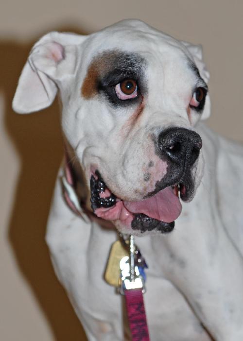 Bianca