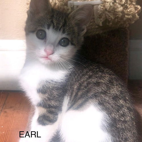 Earl