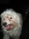 SKYLER