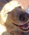 Golda Foster Needed 9/28