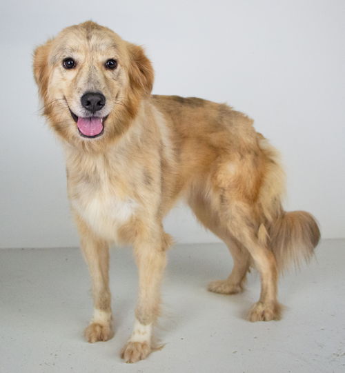 Golda Foster Needed 9/28