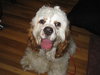 Grover