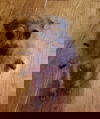 Viggo MG