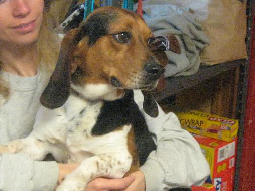 Barry
