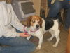 Baxter