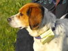 Baxter
