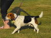 Baxter