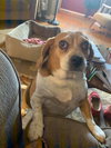 Mindy