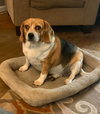 Mindy