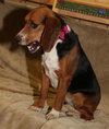 Ashlee