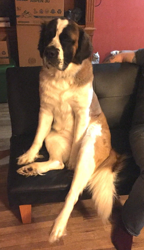 Heidi