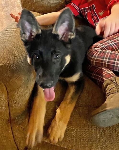 Zora AH 2/29