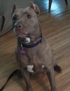 Annie