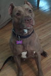 Annie