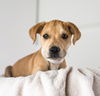 Giana Puppy FA 3/14