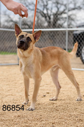 Sundance adopted 3/27