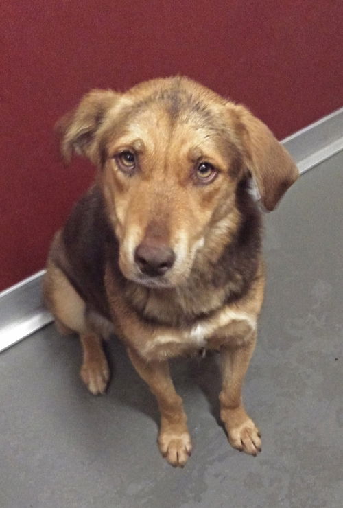 Esmerelda Adopted 3/27
