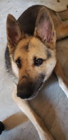 Bonnie AH 4/18