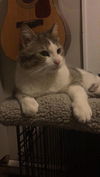 Graham