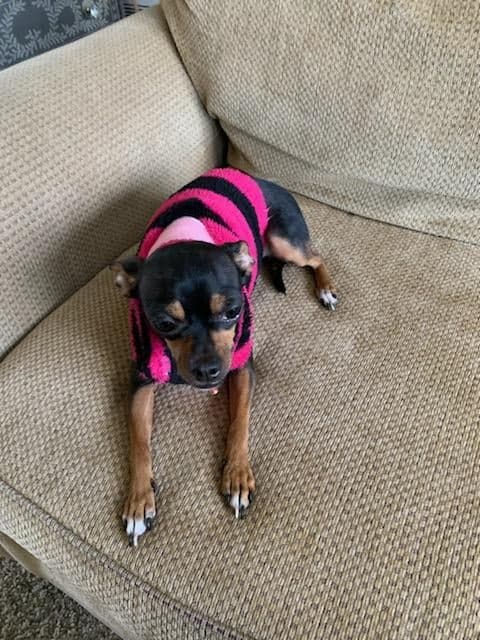 Brandee Adopted