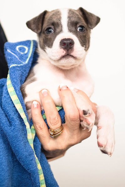 Grover