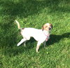 Trudy