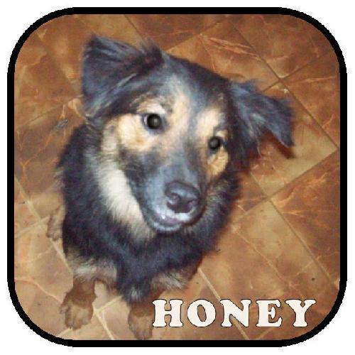 Honey