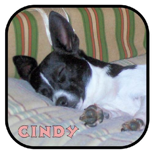 Cindy