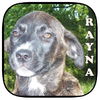 Rayna