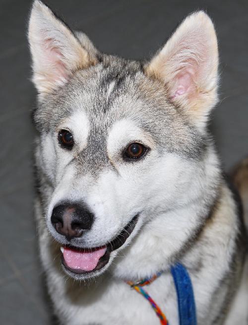 Klondike