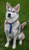 Klondike
