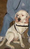 Bubba