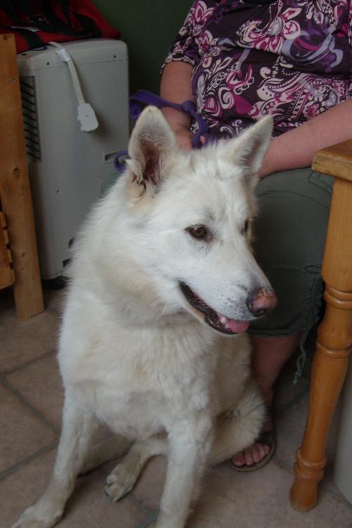 Sitka