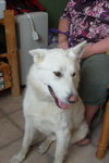 Sitka