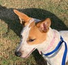 Kimiko