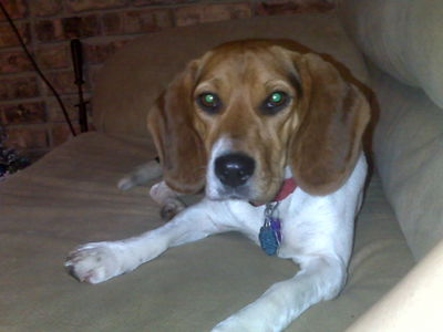 Ellie