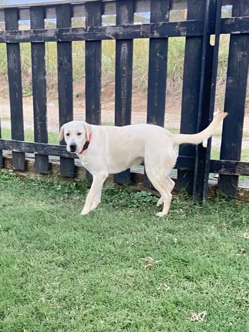 Ellie Mae