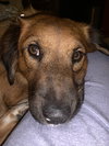 Kita