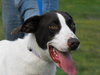 Amy