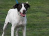 Amy
