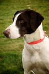 Amy