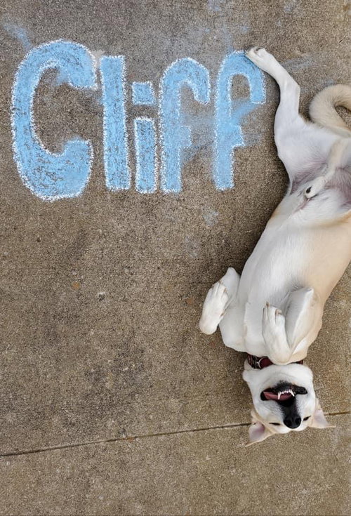 Cliff